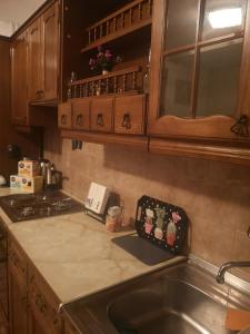 a kitchen with a sink and a counter top at Evergreen in Banja Luka +26 photos