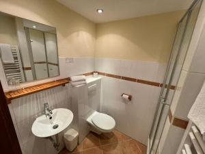uma casa de banho com um WC, um lavatório e um chuveiro em Hotel Restaurant Iris em Bad Segeberg