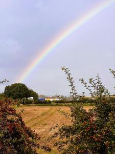 un arc-en-ciel au-dessus d'un champ dans l'établissement Secluded Rustic Cabin - A Digital Detox Paradise., à York