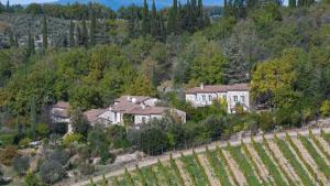 een luchtfoto van een huis in een wijngaard bij Scorpione in Gaiole in Chianti