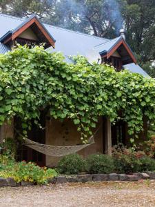 a hammock in front of a house with plants at Hideaway Cottage - Secluded Retreat - Pet Friendly in Apollo Bay