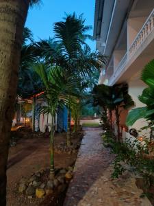 a row of palm trees in front of a building at Sea View Apartments , Mandrem Beach in Mandrem