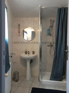 een badkamer met een douche en een wastafel bij Splendide Moulins in Moulins
