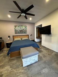 坎昆的住宿－Urban Oasis Retreat，一间卧室配有一张床和吊扇