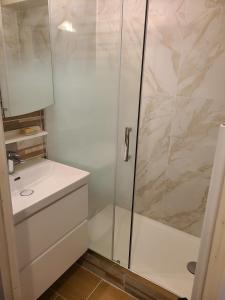 La salle de bains est pourvue d'une douche et d'un lavabo. dans l'établissement Le Chartreux de Saint Pierre de Chartreuse, à Saint-Pierre-de-Chartreuse