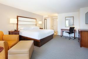 a hotel room with a bed and a desk at Hilton Naples in Naples