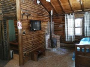 a room in a log cabin with a tv on the wall at BienAltura in Uspallata