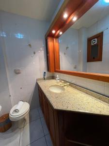 y baño con aseo, lavabo y espejo. en Apto Retro - 500m da Praça das Flores en Nova Petrópolis