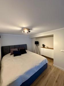 a bedroom with a bed and a ceiling fan at Albatross Loft in Ķesterciems +18 photos