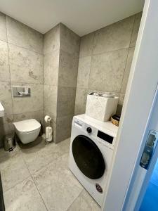een wasmachine in een badkamer met een toilet bij Albatross Loft in Ķesterciems