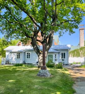 un albero di fronte a una casa bianca di Villa Primavera Apartment in Hanko a Hanko