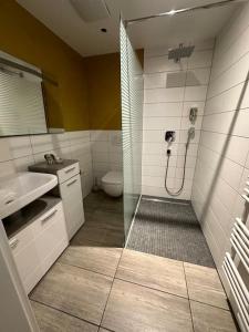 a bathroom with a shower and a toilet and a sink at Luxurious Apartment with Sauna in Cologne