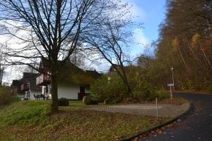 ein Haus mit einem Baum am Straßenrand in der Unterkunft Huis 38 Seepark Kirchheim in Kirchheim