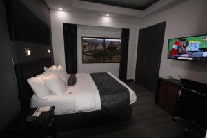 TV a/nebo společenská místnost v ubytování Hotel San Fernando Real