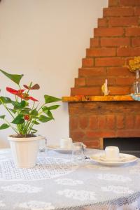 a table with two plates and a potted plant on it at Chalé Lírio Cachoeira do Vale in Monte Verde