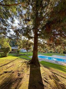 a tree sitting next to a swimming pool at Hotel Cavalinho Branco in São Francisco de Paula