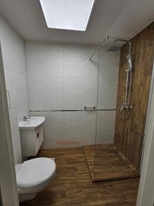 a bathroom with a toilet and a glass shower at Apartamenty Asia Kraków in Krakow