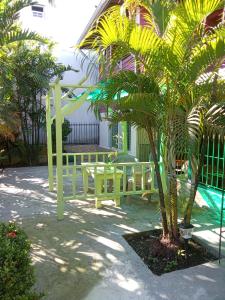 a patio with a table and a palm tree at Hostal Hansi in Bocas del Toro