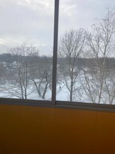Blick auf ein schneebedecktes Feld aus dem Fenster in der Unterkunft Apartment in Šiauliai in Šiauliai