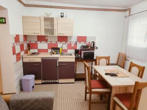 Kuchyň nebo kuchyňský kout v ubytování Apartment Tina Gračac