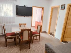 Televízia a/alebo spoločenská miestnosť v ubytovaní Apartment Tina Gračac