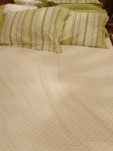 a white bed with two pillows on top of it at HOSTEL VENDA NOVA in Belo Horizonte