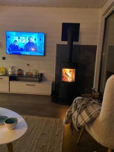 a living room with a fireplace and a tv at Under_sky_slavske in Slavske