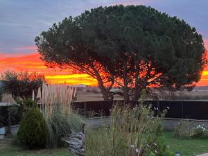 een boom in een tuin met een zonsondergang op de achtergrond bij Villa Sol Peralada Golf in Peralada