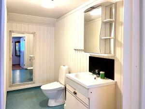 a bathroom with a toilet and a sink and a mirror at House in Tärnaby in Tärnaby