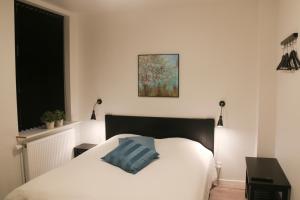 een slaapkamer met een wit bed met een blauw kussen erop bij Hals Hotel in Hals