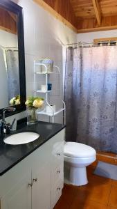 a bathroom with a white toilet and a sink at Casa lican Ray vista al lago in Licán Ray