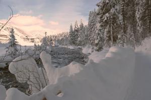 Un río cubierto de nieve junto a un bosque en Pension Zillertal, en Gerlos
