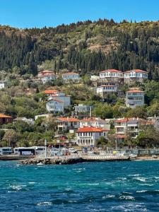 a group of houses on a hill next to the water at İLİA BUTİK OTEL in Eceabat