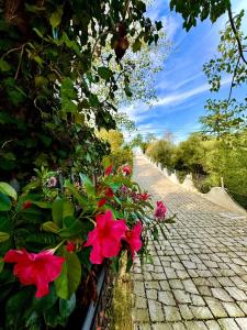 Zahrada ubytování Lamapulia