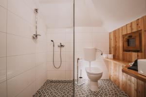 La salle de bains est pourvue d'une douche et de toilettes. dans l'établissement Koča Bistra - Velika planina, à Stahovica