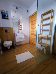 a bathroom with a toilet and a sink and a ladder at Pokoje gościnne Górski Szlak in Krościenko