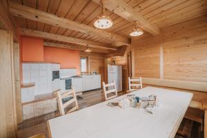 Kuchyň nebo kuchyňský kout v ubytování Koča Zlatorog - Velika planina