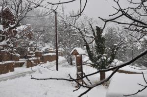 un patio cubierto de nieve con una casa de aves y árboles en Oreias Chalet en Ano Trikala