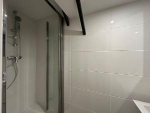 La salle de bains est pourvue d'une douche avec une porte en verre. dans l'établissement Cosy appt, Croix rousse Duviard 2, à Lyon