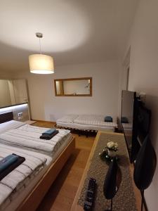 Televízia a/alebo spoločenská miestnosť v ubytovaní Egon's Home - Urlauben in Top Lage