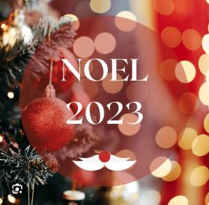 un árbol de Navidad con un adorno rojo y la novela de palabras en C’est une maison bleue en Carcassonne