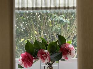 un vase avec des fleurs roses dans une fenêtre dans l'établissement Maison Combrit, 6 pièces, 9 personnes - FR-1-481-150, à Combrit