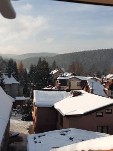 Widok na góry z tej kwatery prywatnej