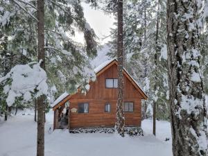 a log cabin in the snow in the woods at Alpine Retreat: Off-Grid Cabin Winter Adventure in Pemberton