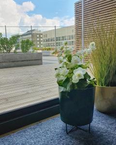 um vaso cheio de flores brancas numa varanda em New studio apartment with free parking em Kuopio