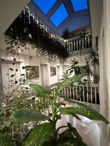 特爾古穆列什的住宿－Villa Helvetia，一间有一堆植物的房间