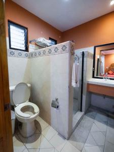 y baño con aseo, ducha y lavamanos. en Hotel el Ángel Taxco, en Taxco de Alarcón