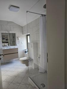a bathroom with a shower and a toilet and a sink at Valpino 