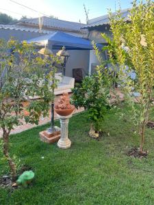 a garden with a bird bath in the grass at Hotel Ceres - suíte Araras Azuis - 11 in Cuiabá +2 photos
