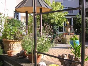 a garden with potted plants and a umbrella at Arthotel Ana Panorama in Marktoberdorf